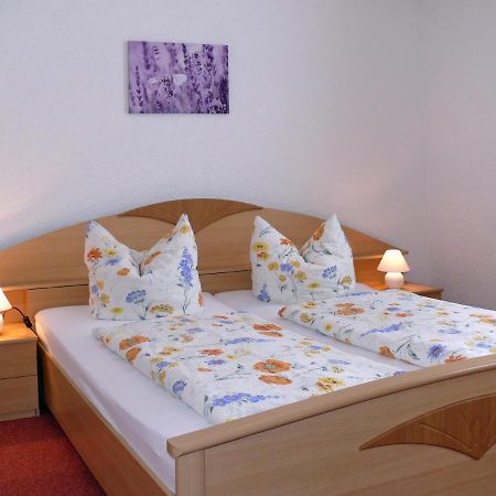 Ferienpension Gabriele 61 Kurort Gohrisch Esterno foto
